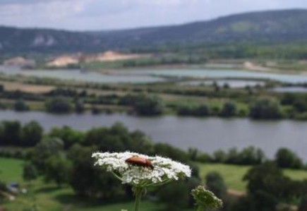 Lafarge Granulats Rhône-Loire s'associe au Cora