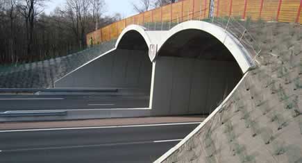 Le béton protecteur du monde sauvage !
