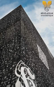 Chryso devient distributeur exclusif des membranes Graphic Concrete en France