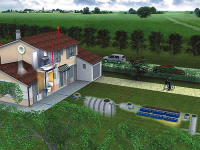 Sebico : valeur sûre