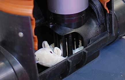 Dantons supprime les rats