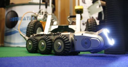 Ipek France va voir le jour