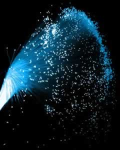 Fort dynamisme des télécoms en 2011