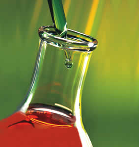 Lubrifiants biodégradables en zones sensibles : règlementation et impacts 