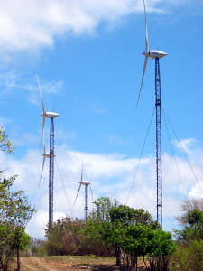 L’éolien, hors métropole, encore loin des objectifs