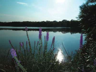 Cemex : à Etoile-sur-Rhône, la « base » succède à la carrière