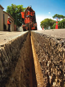 Marais : la fibre des Kiwis