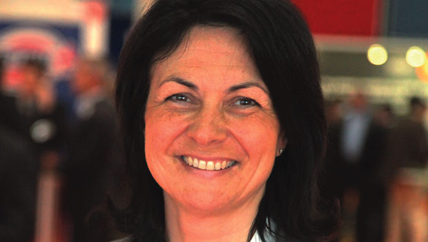 DLR : une année 2012 contrastée 