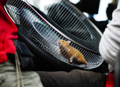 Volvo Trucks met un hamster aux commandes d'un Volvo FMX !