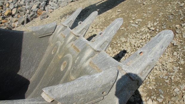 Dents pérennes pour roche cornéenne 