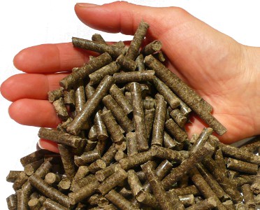 Zeta Pellet valorise le déchet végétal