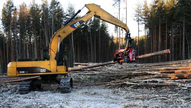 Caterpillar Forest Products distribue Satco