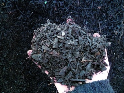 BioSac by Calcia à l’essai : Efficacité prouvée !