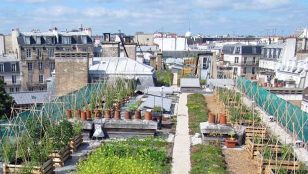 Vinci et ParisTech en faveur du bâtiment durable