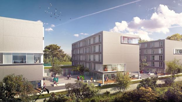 Nice : du bois pour les étudiants