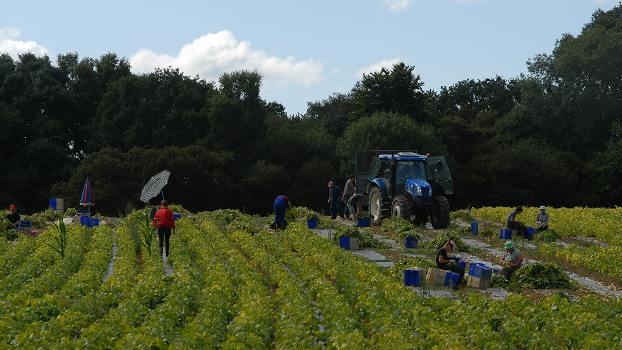 En Bretagne, la chaleur devient électricité