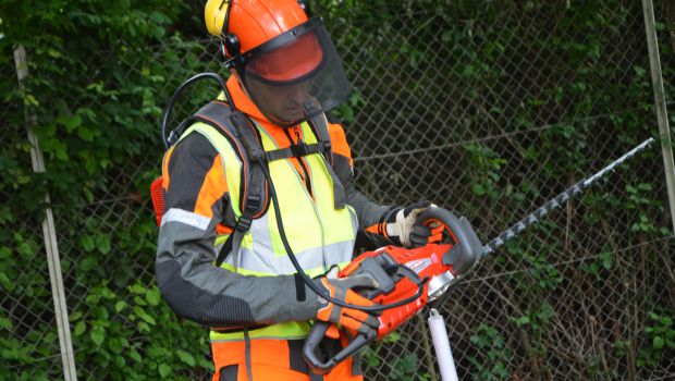 Location : le rouge parie sur le vert 