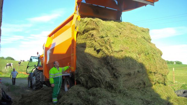 Récolter l’herbe des bords de route : le bon filon ? 