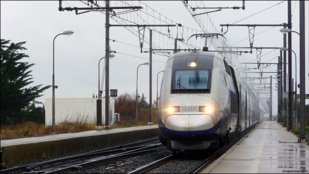 La LGV SEA sur la bonne voie