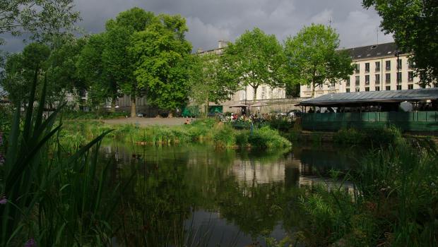 Nantes : les bords de l'Erdre s'offrent un lifting