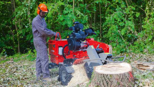 Salonvert : Loxam au rythme des 4 saisons