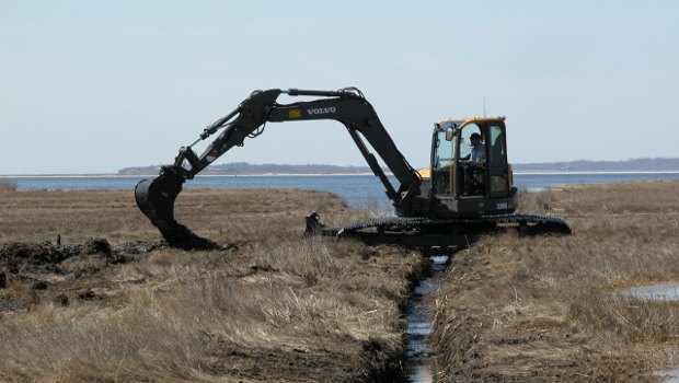 Volvo redonne vie aux marais du Connecticut