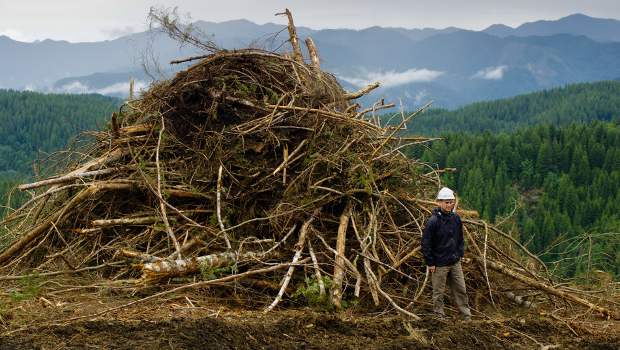 Brésil : Areva réalise une centrale biomasse