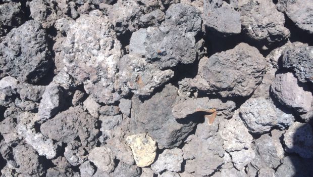 Sortie du statut de déchets : quid des co-produits industriels ? 