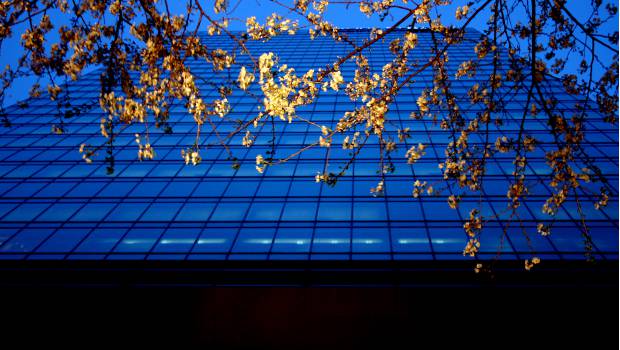 Japon: le fonds singapourien GIC s'offre une tour à 1,6 mds