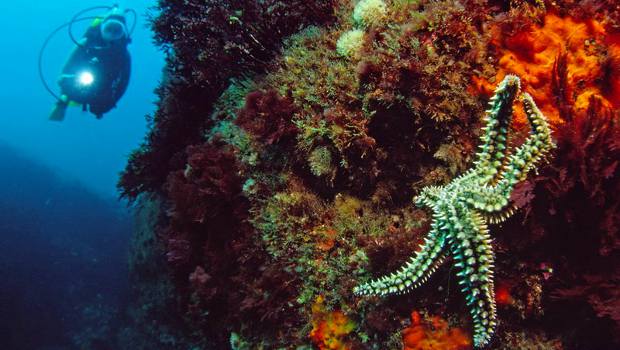 Et si le Japon ressuscitait l’Atlantide ?