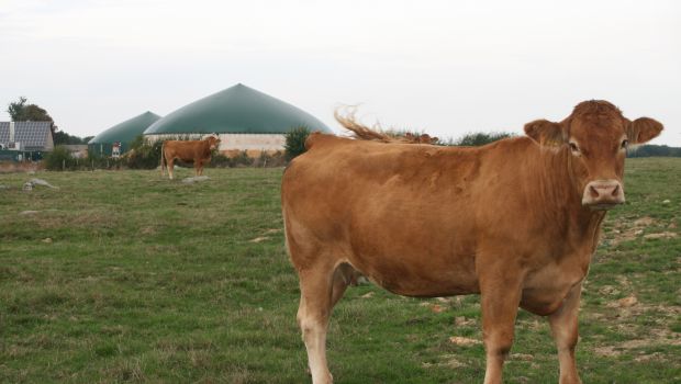 73% de gaz renouvelable dans le réseau en 2050 : scénario réaliste ? 