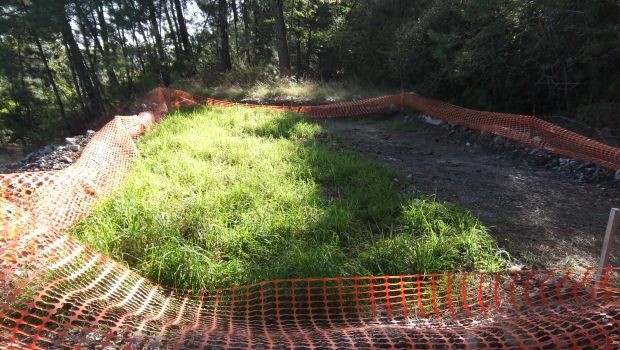 Résidus de bauxite : un déchet industriel aux multiples potentiels 