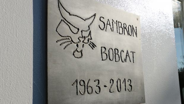 Bobcat : la chasse aux parts de marché 
