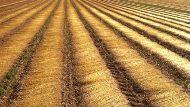 Le 1er béton à base de fibres de lin 