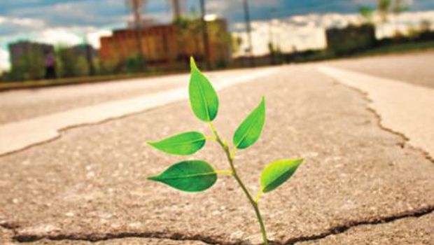 L’UPDS sort un guide de la pollution concentrée