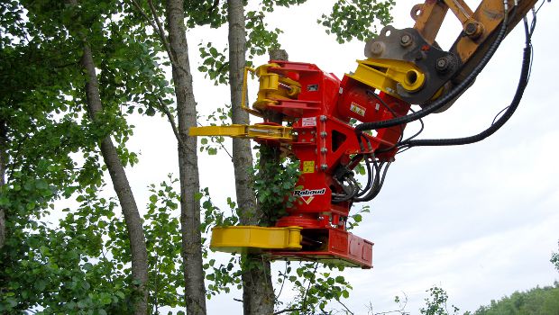 Rabaud étoffe sa gamme forestière