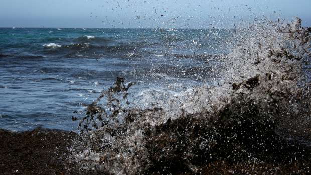 Des algues Sargasses se muent en bioplastique