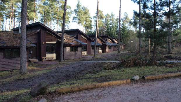 Dans la Vienne, le Center Parcs en est aux finitions