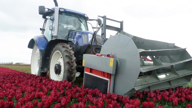 Alliance Tire Group « à fleur de peau »