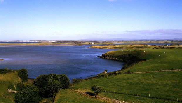 Veolia exploite une centrale biomasse en Irlande