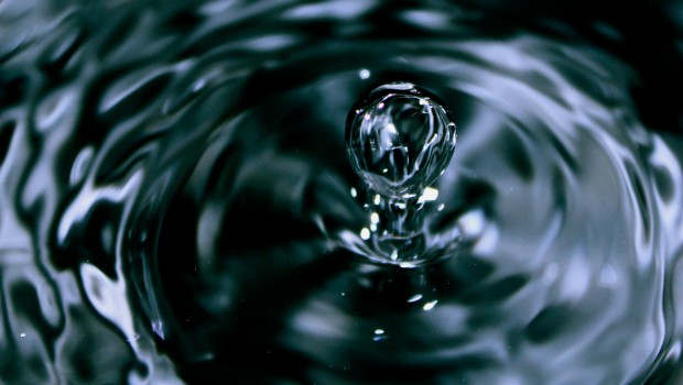 Eau de Paris s'engage pour la protection de la ressource