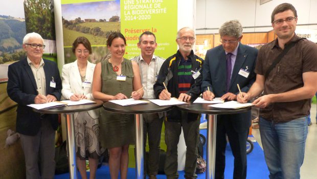 En Bourgogne, les carrières préservent la biodiversité