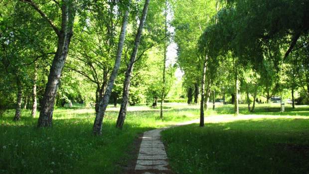 Paris-Saclay cultive son jardin