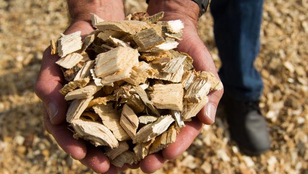 Haut-Rhin : une chaudière biomasse d'1 MW à Trois-Epis