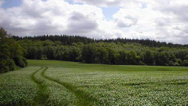 Breizh Forêt Bois : dynamiser la forêt bretonne