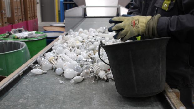 Les ampoules d’Artémise 