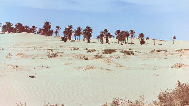 Energie solaire : l’Allemagne aide la Tunisie