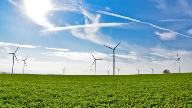 La trentaine dans le vent 