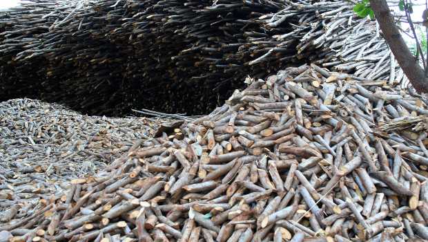 Rouen : une chaufferie biomasse en construction à Mont-Saint-Aignan