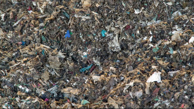 CSR : Quelle rentabilité pour la filière en France ?